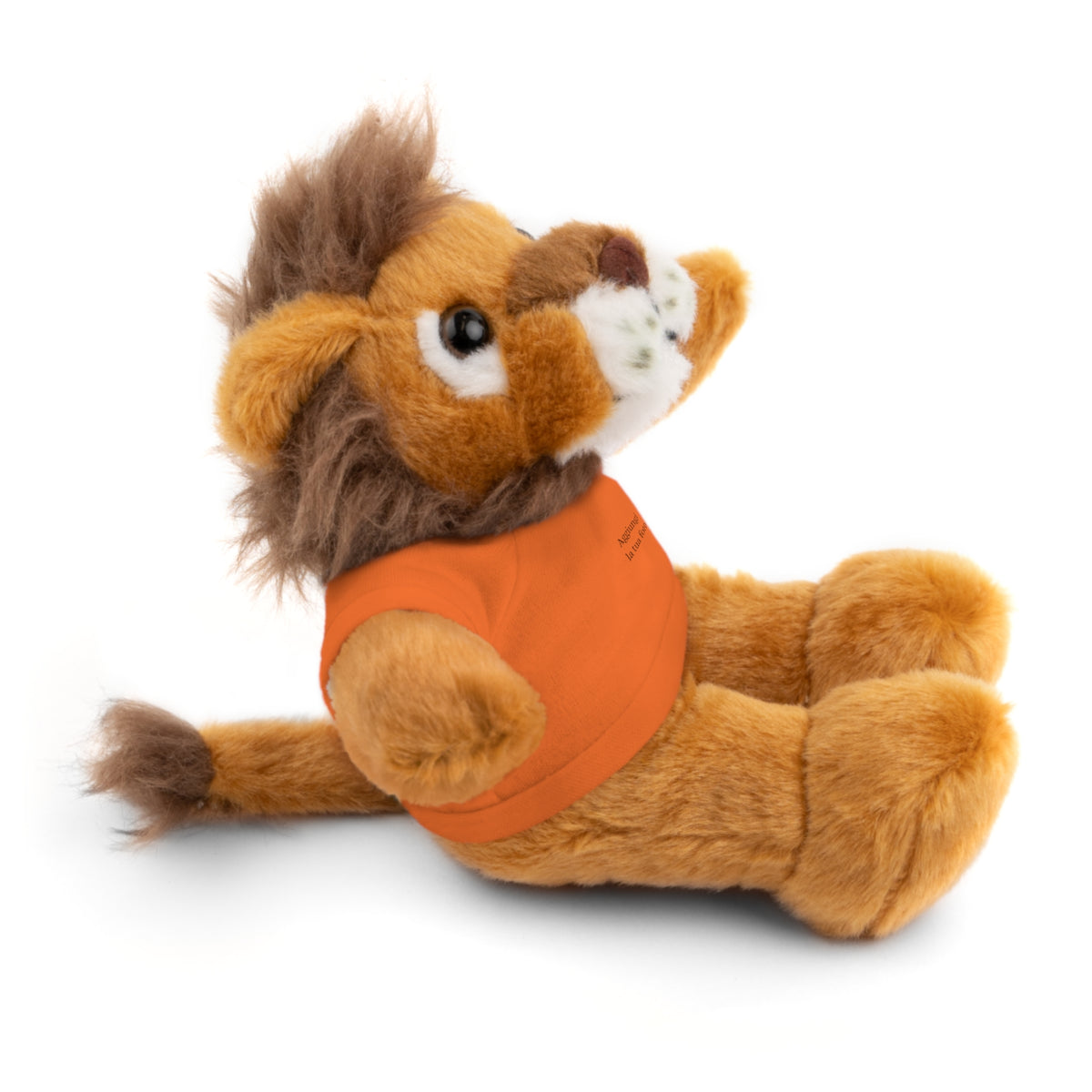 Peluche Personalizzato con Maglietta in Cotone – Orso, Coniglietto, Panda e Altri Animaletti 🧸