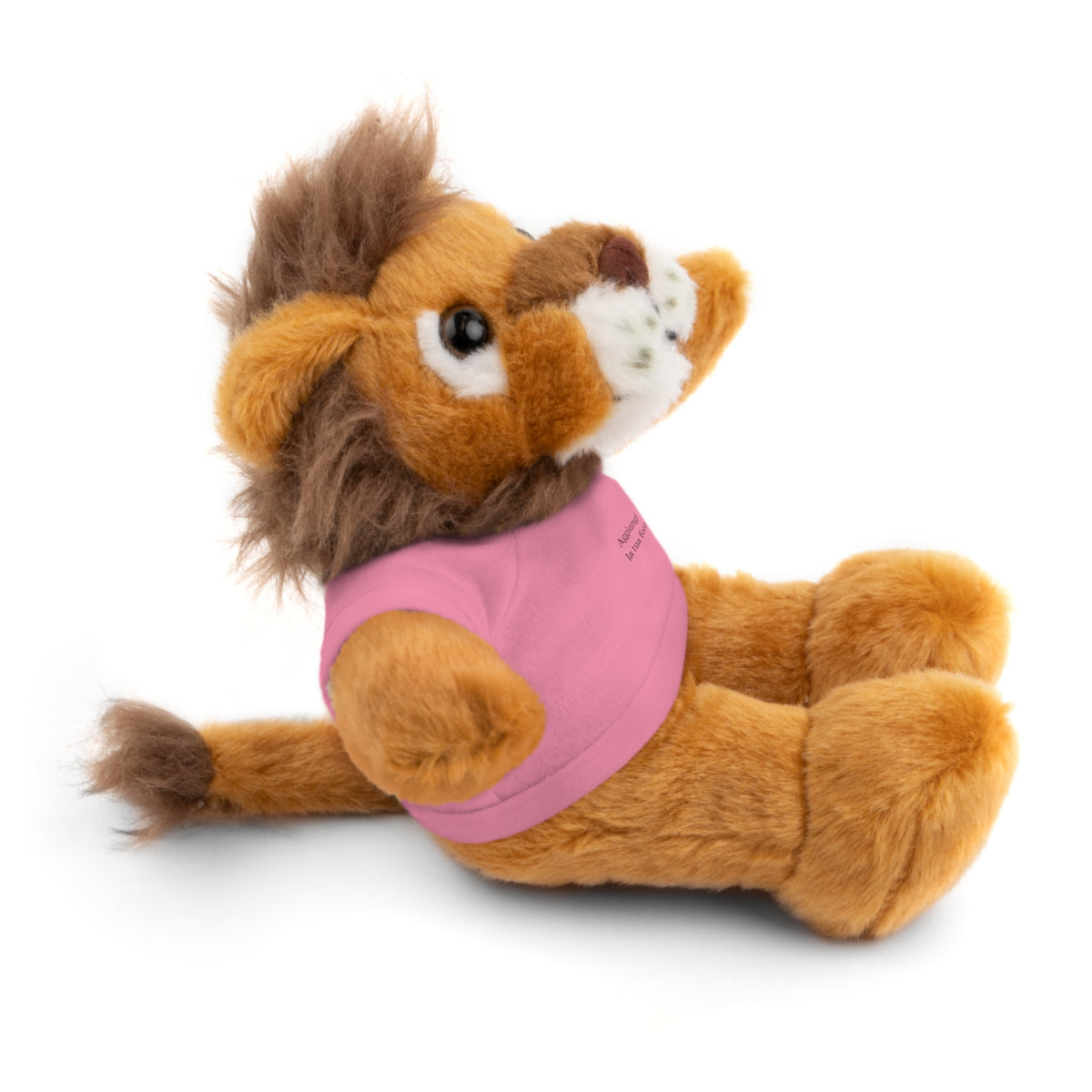 Peluche Personalizzato con Maglietta in Cotone – Orso, Coniglietto, Panda e Altri Animaletti 🧸