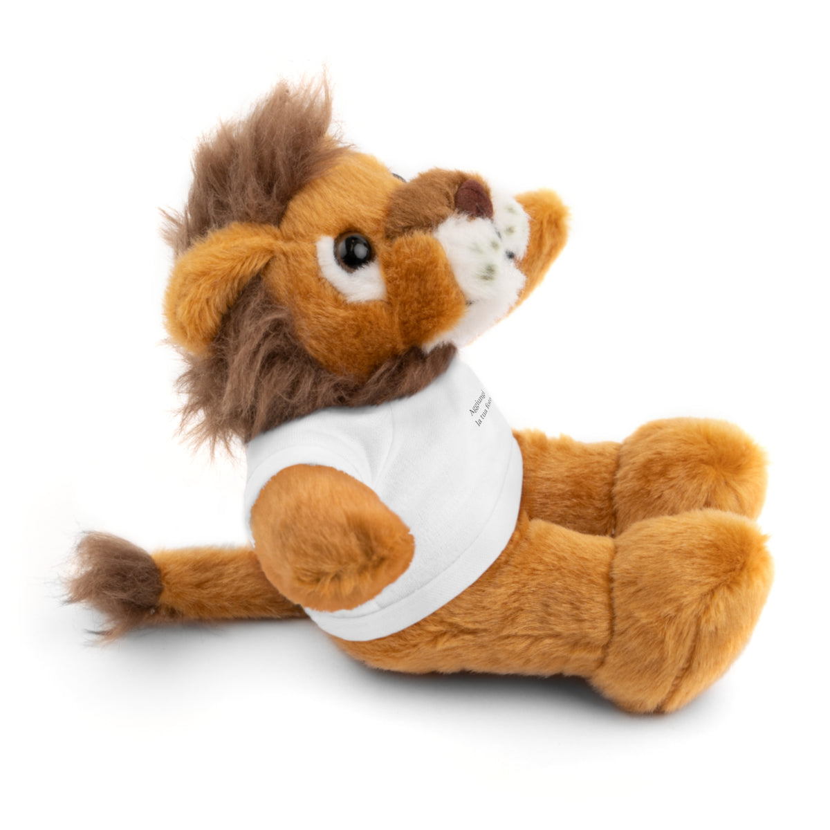 Peluche Personalizzato con Maglietta in Cotone – Orso, Coniglietto, Panda e Altri Animaletti 🧸